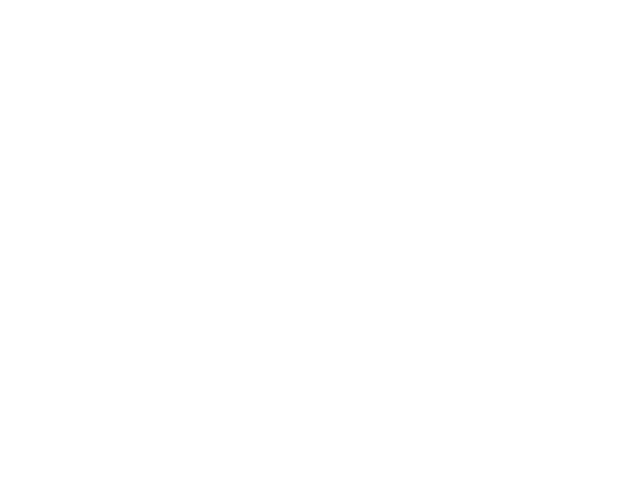 DFM Immobilier